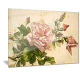 pink flower illustration floral art painting canvas print PT7456