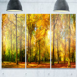 gorgeous autumn of sunny forest landscape photo canvas print PT7484