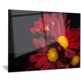 red velvet chrysanthemum flowers floral canvas art print PT7509