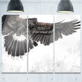 low flying eagle illustration animal digital art canvas print PT7958