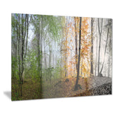 morning forest panorama landscape photo canvas print PT8174