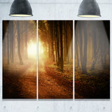 sunrise in foggy forest landscape photo canvas print PT8178