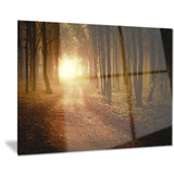 sunrise in foggy forest landscape photo canvas print PT8178