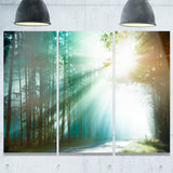 magic blue forest landscape photo canvas print PT8180