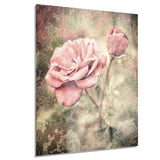 vintage pink roses with water drops floral canvas art print PT8293