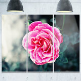 red rose in vintage style floral digital art canvas print PT8296