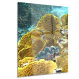 barrier reef underwater scene seascape photo canvas print PT8305