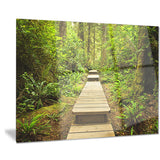 path in temperate rainforest landscape photo canvas print PT8314