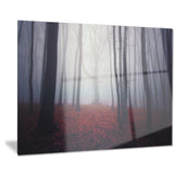 dark spooky misty forest landscape photo canvas art print PT8316