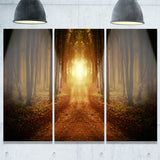 road in symmetrical forest landscape photo canvas print PT8317
