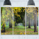 green park in autumn landscape photo canvas print PT8320