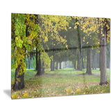 green park in autumn landscape photo canvas print PT8320