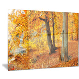 yellow forest of autumn landscape photo canvas print PT8338