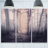 spring forest in fog landscape photo canvas art print PT8423