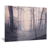 spring forest in fog landscape photo canvas art print PT8423