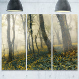 mysterious forest in fog landscape photo canvas art print PT8434