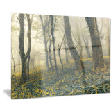mysterious forest in fog landscape photo canvas art print PT8434