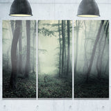 trail through dark forest landscape photo canvas art print PT8435