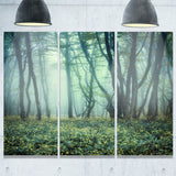 trail through foggy forest landscape photo canvas art print PT8437