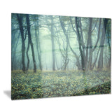 trail through foggy forest landscape photo canvas art print PT8437