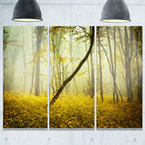 forest with yellow flowers landscape photo canvas print PT8440