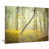 forest with yellow flowers landscape photo canvas print PT8440