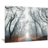 mystic road in forest landscape photo canvas print PT8442