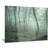 trail through dark foggy forest landscape photo canvas print PT8444