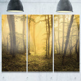 trail through yellow foggy forest landscape photo canvas print PT8445