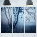 tree in foggy dark forest landscape photo canvas print PT8451