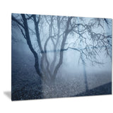 tree in foggy dark forest landscape photo canvas print PT8451