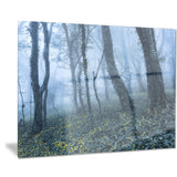 trees in foggy spring forest landscape photo canvas print PT8453