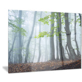 green leaves in old forest landscape photo canvas print PT8454