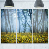 mysterious forest fog everywhere landscape photo canvas print PT8455