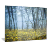 mysterious forest fog everywhere landscape photo canvas print PT8455