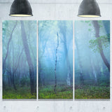 dark foggy forest trees landscape photo canvas print PT8457