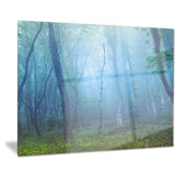 dark foggy forest trees landscape photo canvas print PT8457