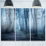 spring foggy forest trees landscape photo canvas print PT8458