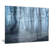 spring foggy forest trees landscape photo canvas print PT8458