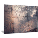 vintage style leaves and trees landscape photo canvas print PT8463