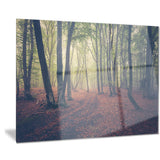 green trees in autumn forest landscape photo canvas print PT8466