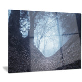 sunlight hitting foggy forest landscape photo canvas print PT8469