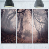 vintage foggy forest trees landscape photo canvas print PT8470