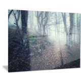 old style path in forest landscape photo canvas print PT8472