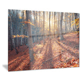 crimean mountains tree shade landscape photo canvas print PT8475