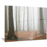 misty autumn beech forest landscape photo canvas print PT8479