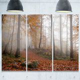 autumn forest in germany landscape photo canvas print PT8482