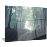 man walking in foggy forest landscape photo canvas print PT8484