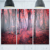 mysterious fairytale red wood landscape photo canvas print PT8485