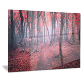 mysterious fairytale red wood landscape photo canvas print PT8485